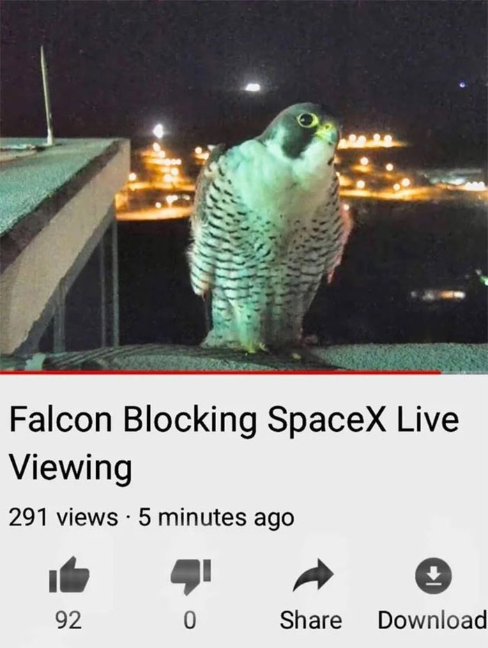 Brands-Getting-Owned-Twitter