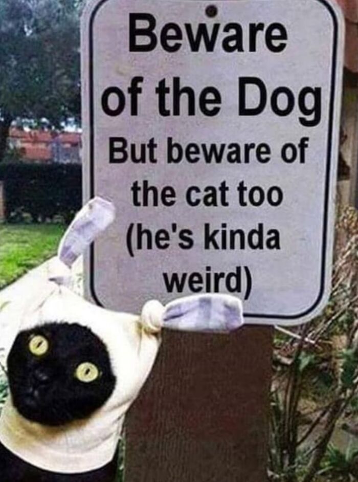 No Matter How Many Times I See This, I Still Laugh