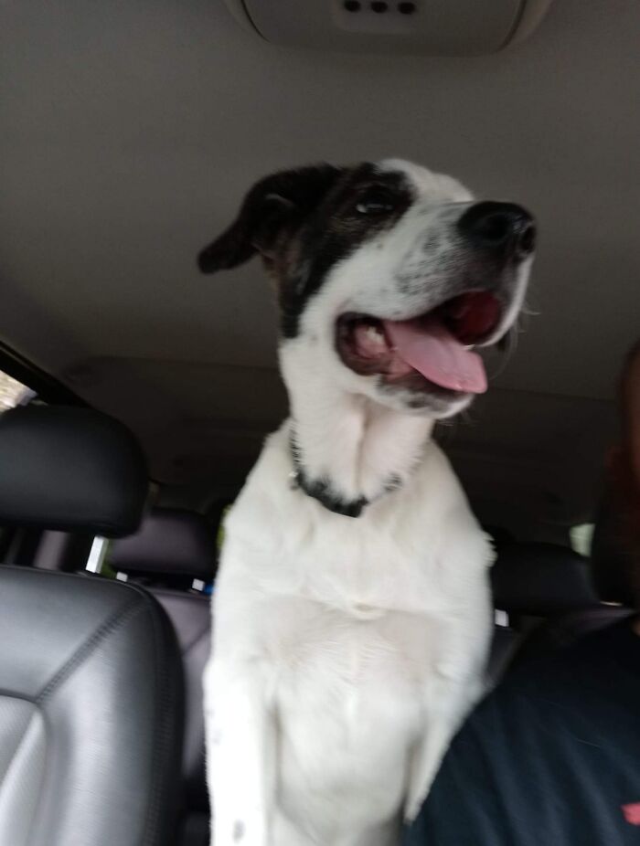 Obligatory Car Selfie