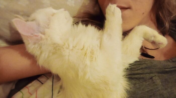 "Just Stop Talking" She Said