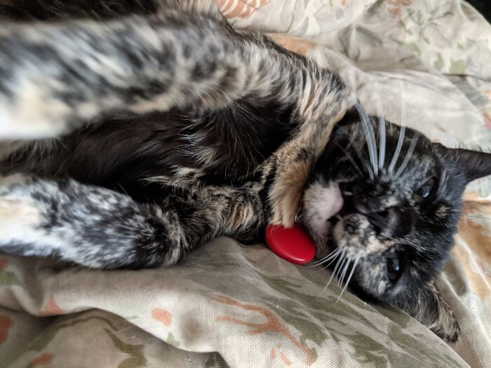 First Selfie For An Old Lady