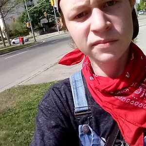 topbunklilbear avatar