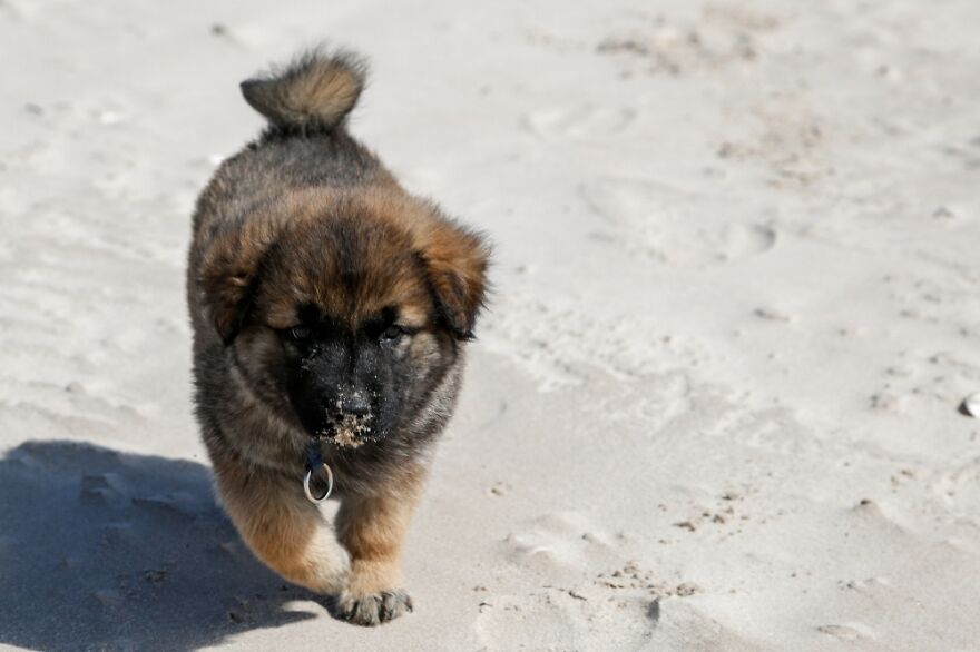 My Little Friend's First Time On The Beach
