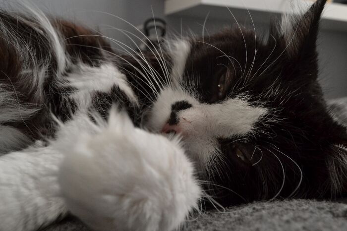 Look Cute Might Delete Later