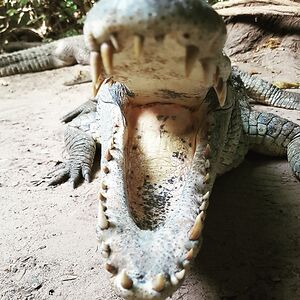 agnieszkastachow avatar