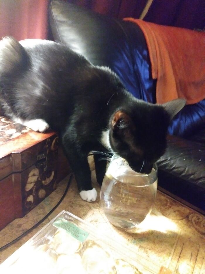 Squishy Is Sooo Very Thirsty