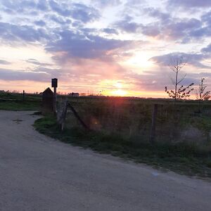 maikevanramshorst avatar