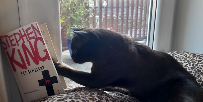 Leave Me Alone....just Got To A Good Bit