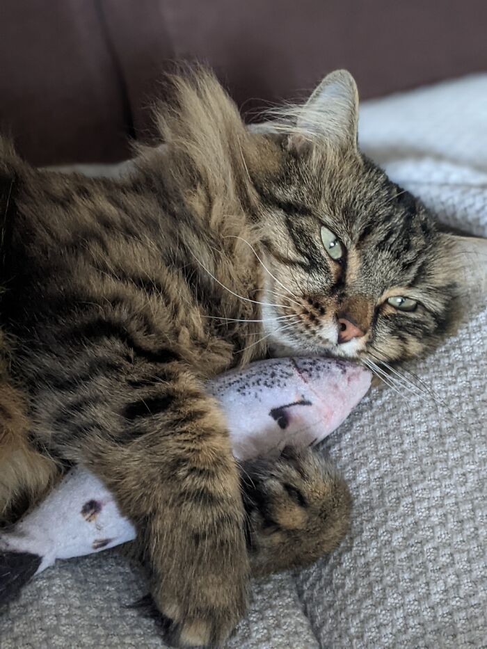 Brian And His Fish...