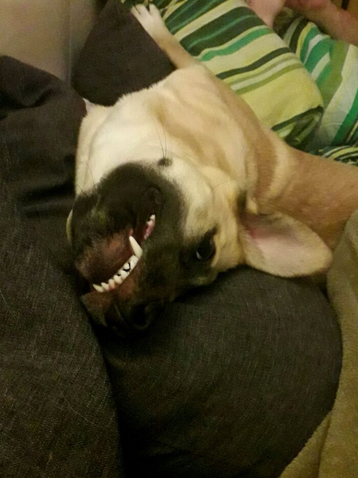 Smile For The Camera, Lara