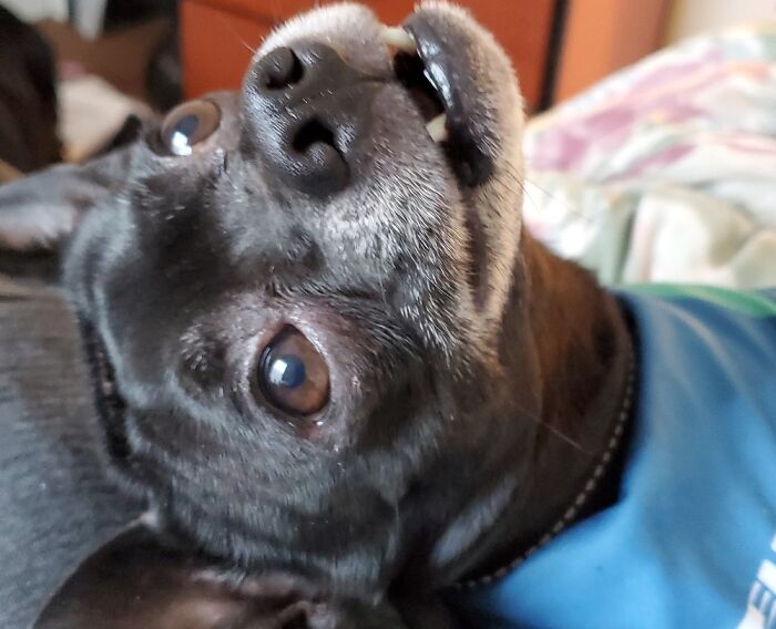 3-2-1 Let's Take A Selfie...