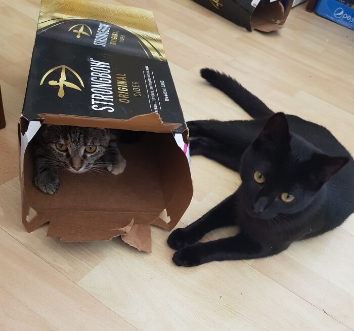 Another Day, Another Uncomfortable Looking Box To Enjoy ...