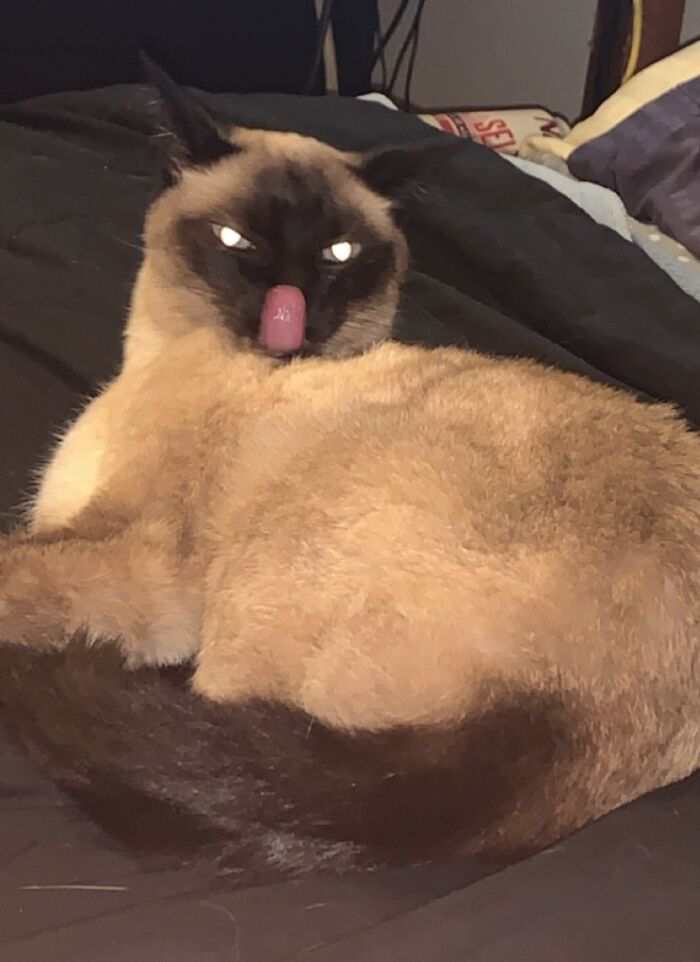 Truly A Beautiful Creature ✨🙊