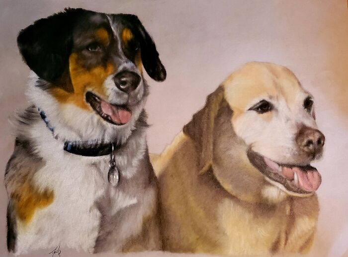 Dog Portrait I Drew