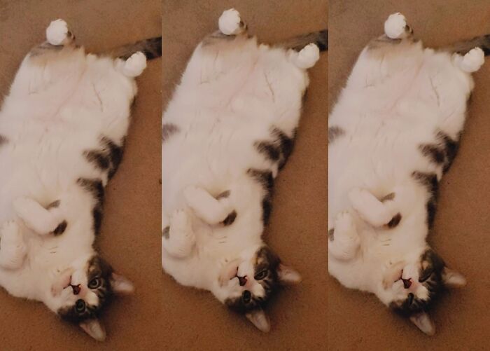 He Loves To Stare At Me Like This And Fall Asleep 🤭