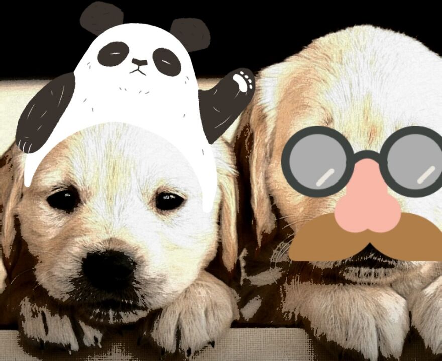 We Likes To Dress Up For You