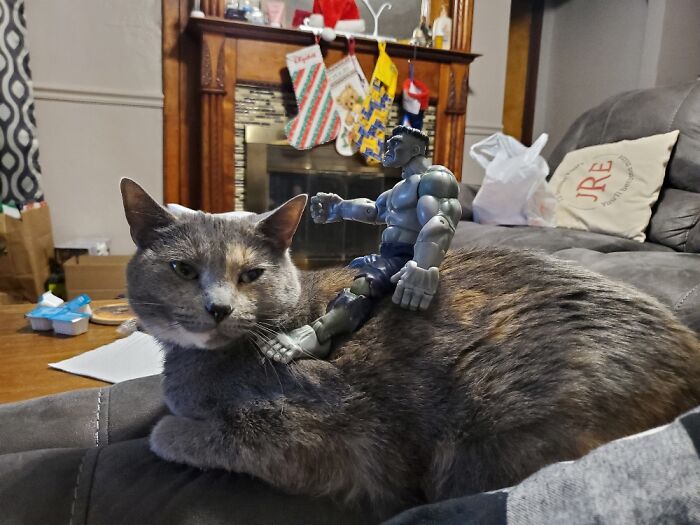 Gibson Does Not Care... So Long As Long Aa You Show Her Love.