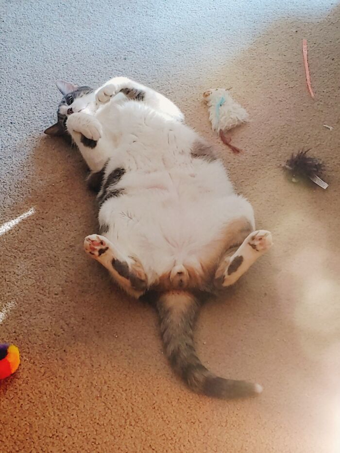 I Felt Someone Staring At Me And Turned To See This..