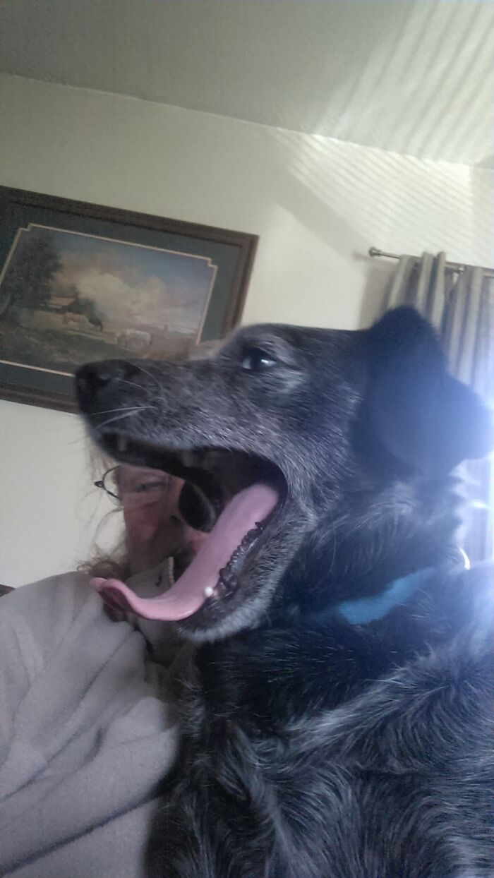 That's A Good One. I've Got One For You!