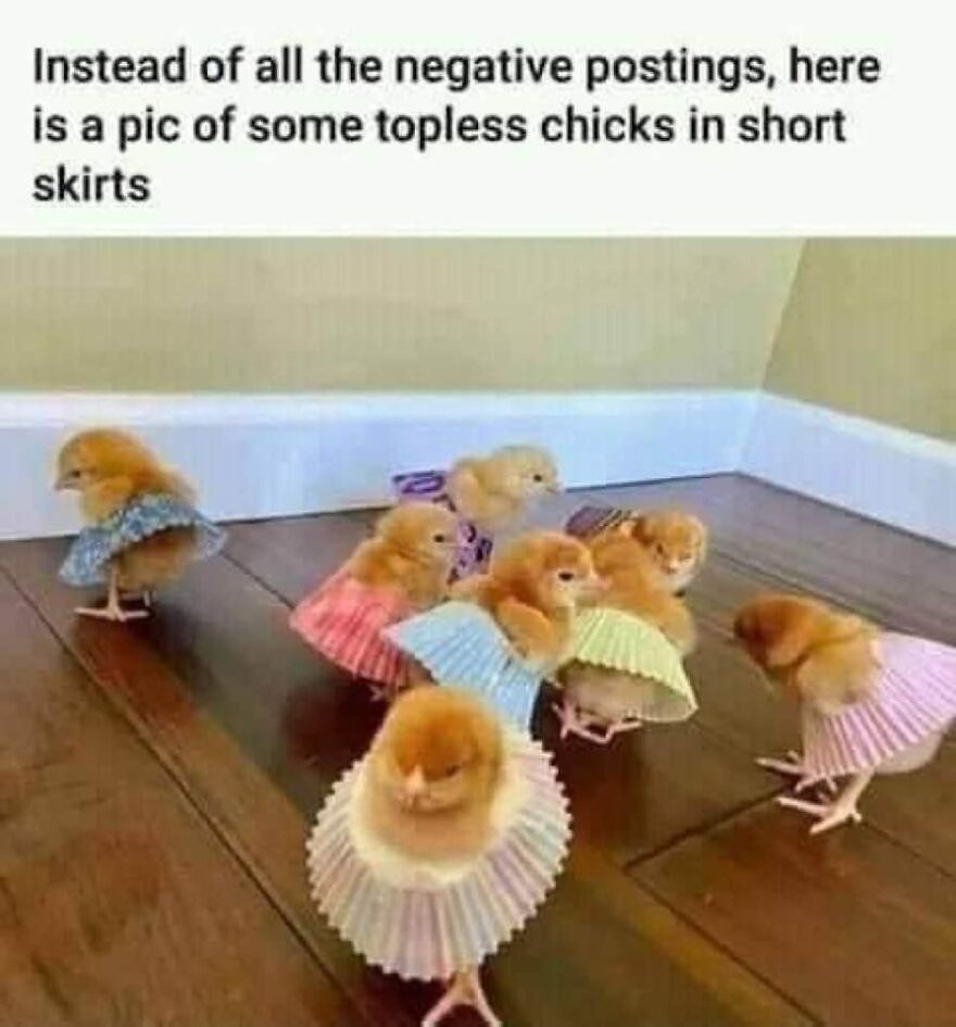 From Our Family Group Chat...