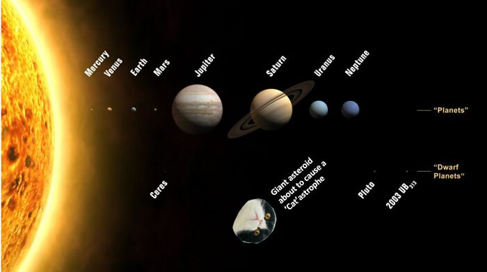 'cat'aclysmic Event In The Making