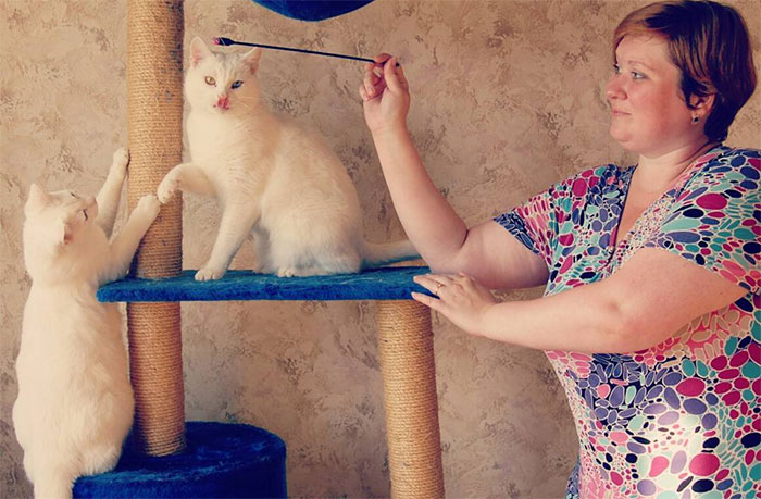 Cat Psychologist Busts 13 Myths About Cats And All Cat Owners Should Know Why These Myths Are Wrong