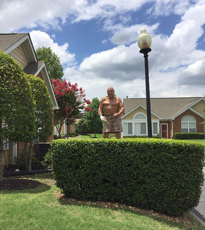 My Grandpa Was Trimming The Shrubs On A Step Ladder With Scissors. When Asked What He Was Doing, He Turned Around And Flexed On Us. He's 80