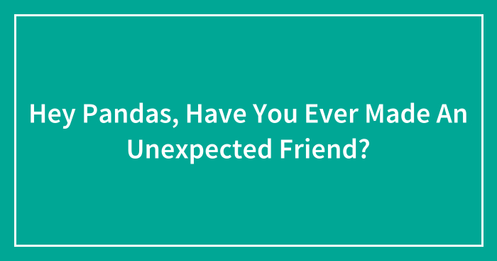 Hey Pandas, Have You Ever Made An Unexpected Friend? (Closed)