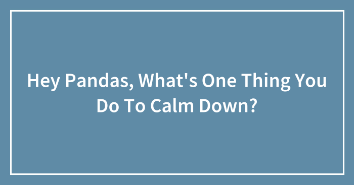 Hey Pandas, What’s One Thing You Do To Calm Down? (Closed)