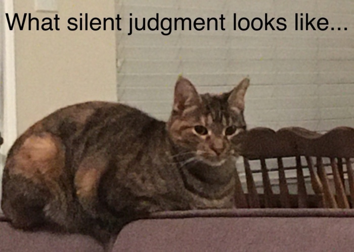 Hey Pandas, Share The Funniest Photo You Can Find (Closed)