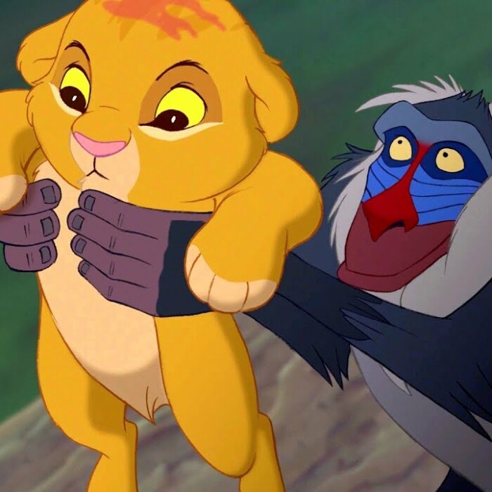 Hey Pandas, Photoshop This Photo Of Rafiki Holding Simba (Closed)