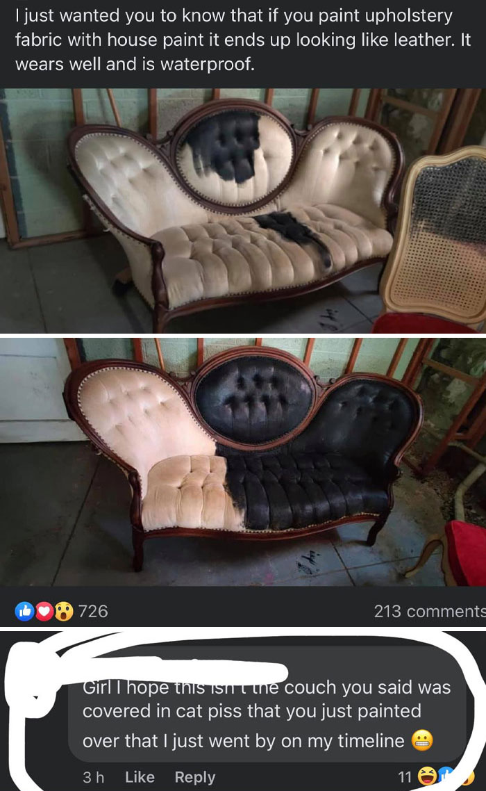 She Painted Her Couch With House Paint