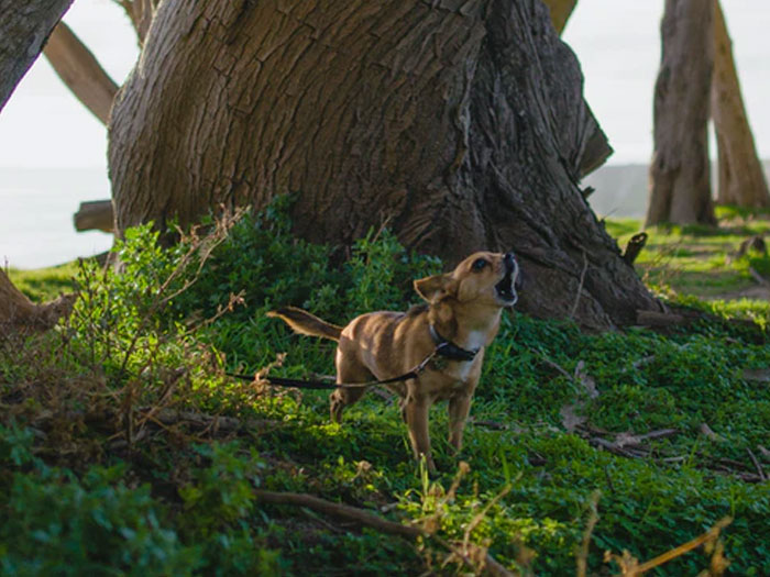 30 People Share Stories Of How Their "Crazy Neighbor" Earned That Name