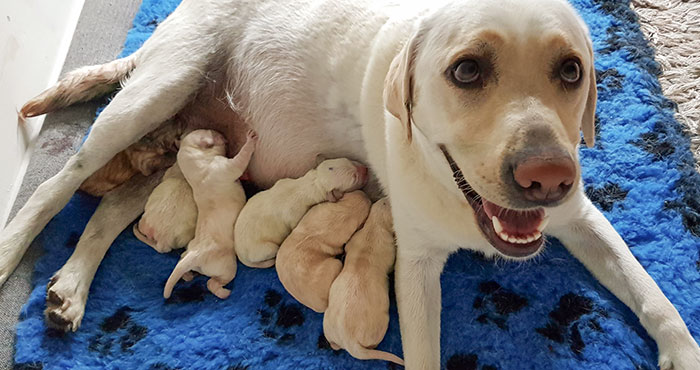 Only A Few Hours Old. Very Proud First-Time Mum