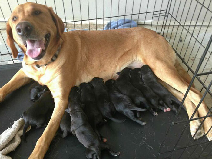 Proud Mom