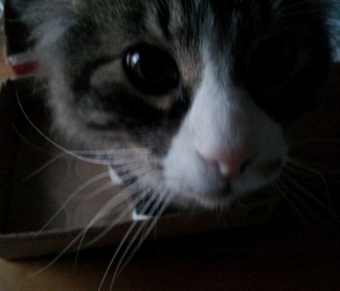 Extra Close Close-Up