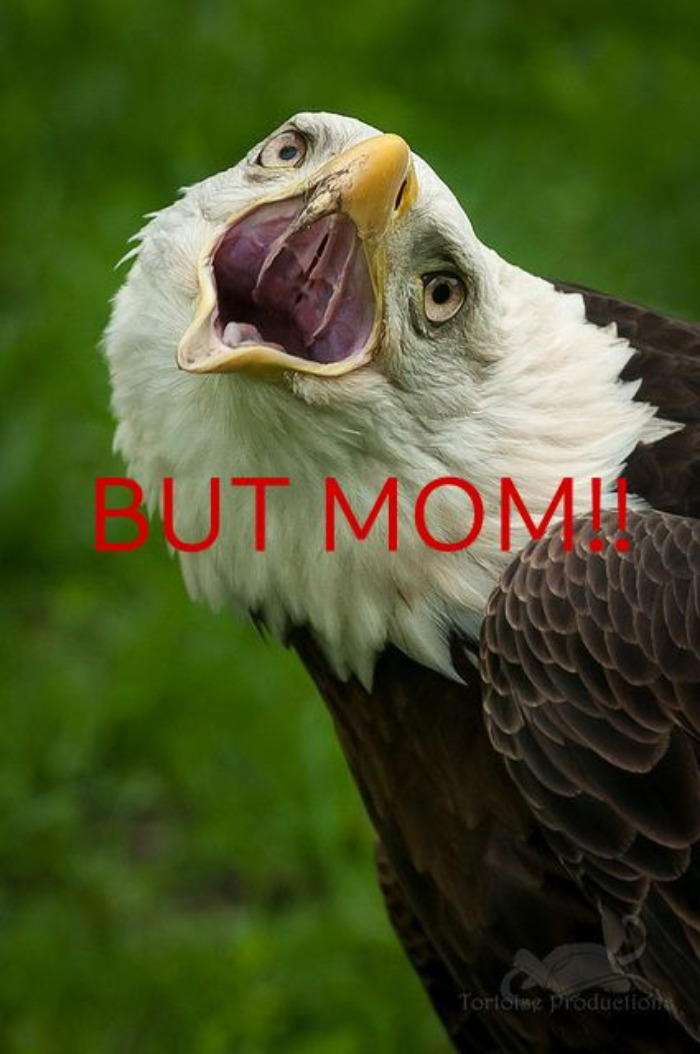 I Don't Wannaaaaa (Made By Me)