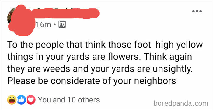 How Dare You Have Dandelions