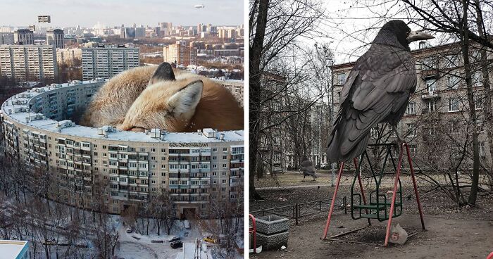 30 Unexpected Photo Manipulations Of Russian Streets Filled With Gigantic Animals By Vadim Solovyev (New Pics)