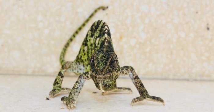 Hey Pandas, Post Your Best Picture From Your Photo Album (Closed)