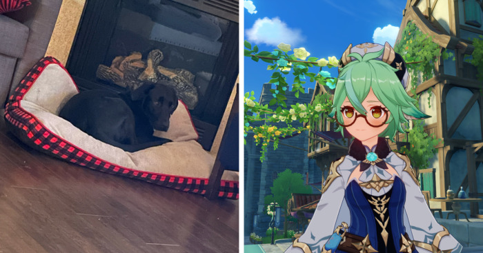 Hey Pandas, Post The 10th Picture In Your Camera Roll (Closed)