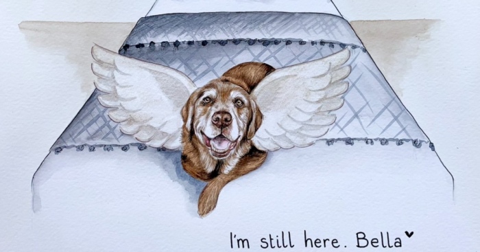 I Paint Dogs As Guardian Angels (12 Pics)