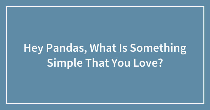Hey Pandas, What Is Something Simple That You Love? (Closed)