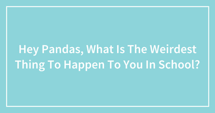 Hey Pandas, What Is The Weirdest Thing To Happen To You In School? (Closed)