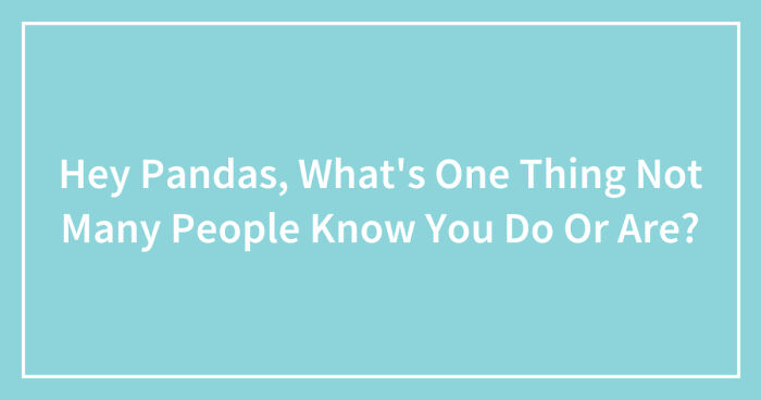 Hey Pandas, What’s One Thing Not Many People Know You Do Or Are? (Closed)