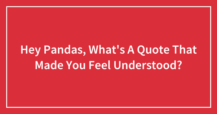 Hey Pandas, What’s A Quote That Made You Feel Understood?