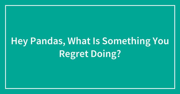 Hey Pandas, What Is Something You Regret Doing?