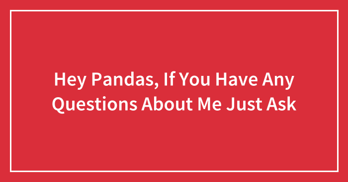 Hey Pandas, If You Have Any Questions About Me Just Ask