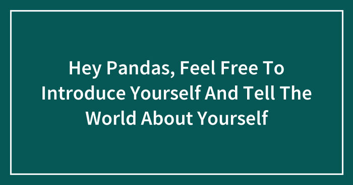 Hey Pandas, Feel Free To Introduce Yourself And Tell The World About Yourself (Closed)