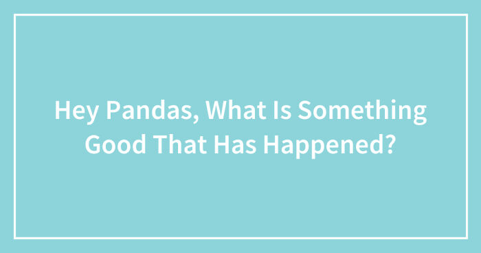Hey Pandas, What Is Something Good That Has Happened? (Closed)